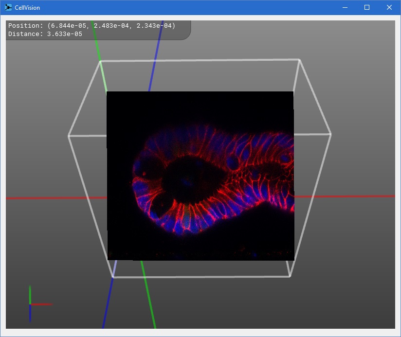 Screenshot Screenshot